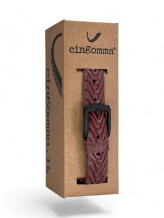 210672 Cingomma