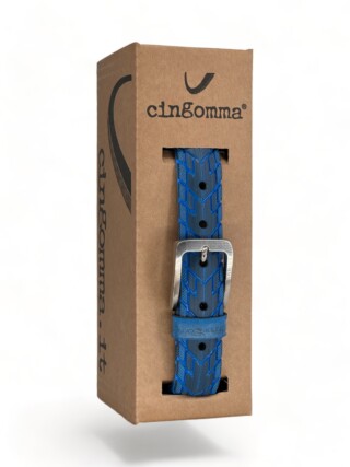 210684 Cingomma