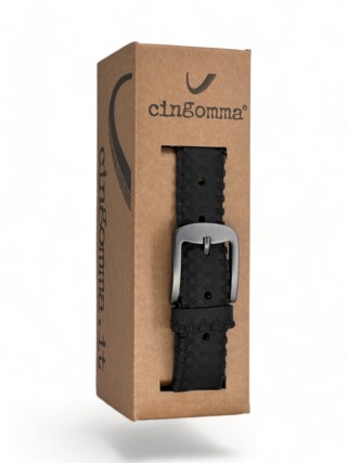210980 Cingomma