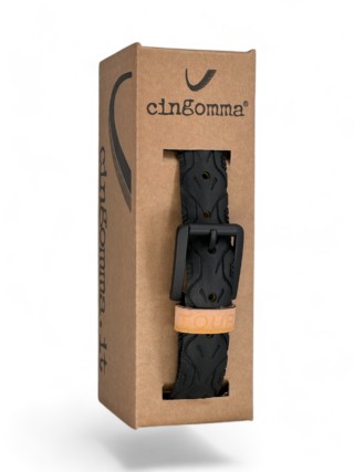 211555 Cingomma