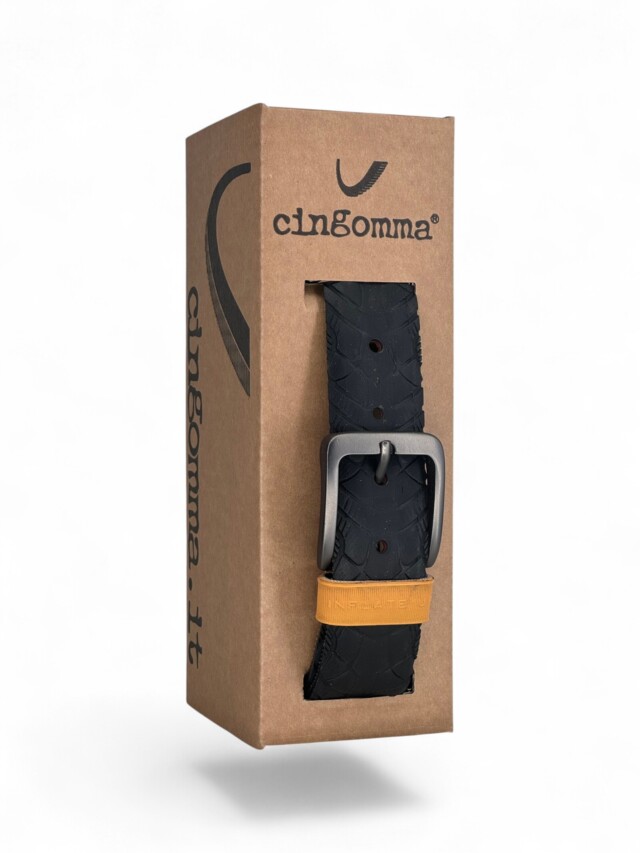 231340 Cingomma