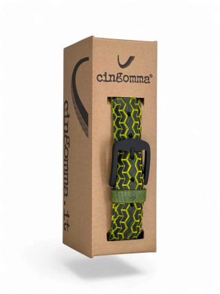 231665 Cingomma
