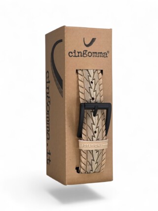 234089 Cingomma