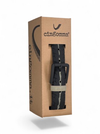 234290 Cingomma