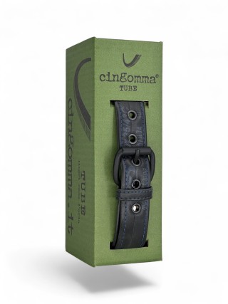 219647 Cingomma Tube