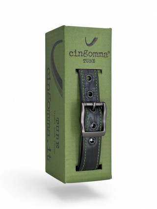 219667 Cingomma Tube
