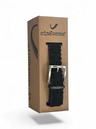 231322 Cingomma