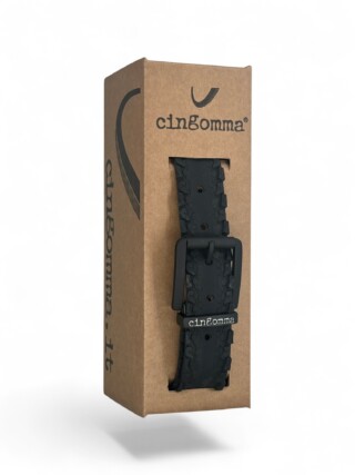 231329 Cingomma