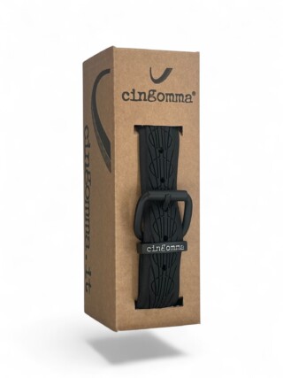 234142 Cingomma