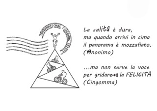 Modello C