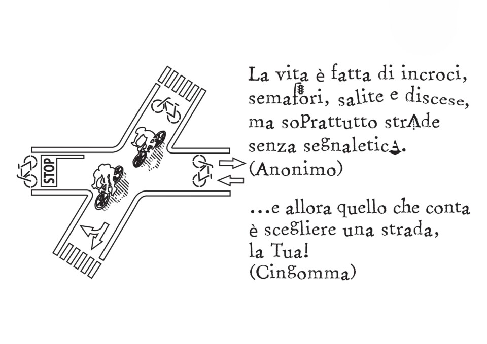 Modello D
