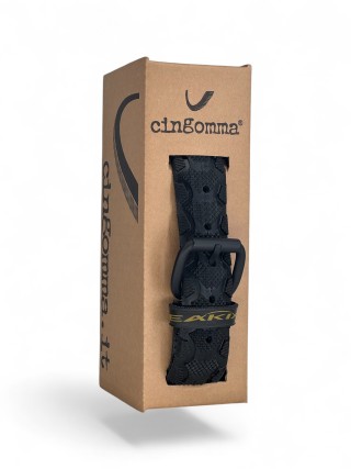 217352 Cingomma