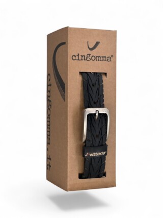 231350 Cingomma