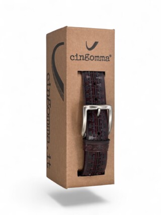 231471 Cingomma
