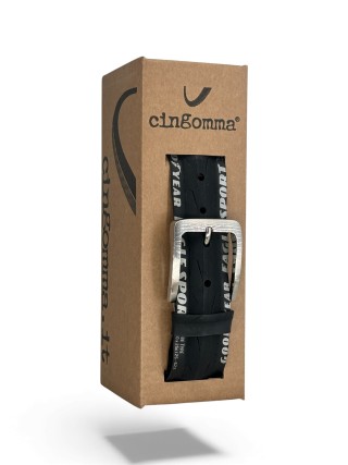 213282 Cingomma