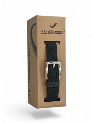 231278 Cingomma