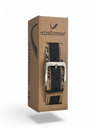 231417 Cingomma