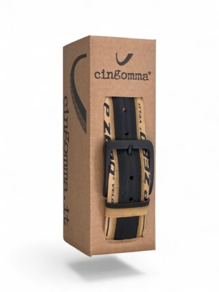 231441 Cingomma